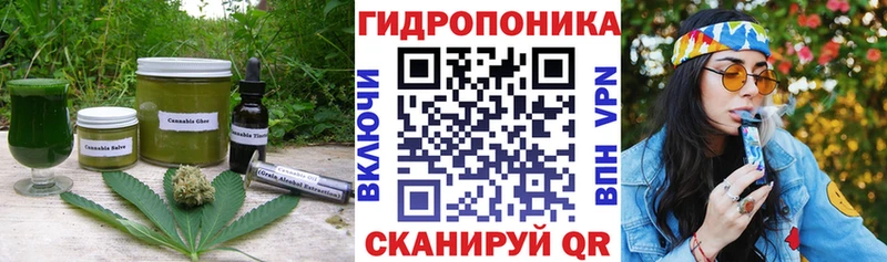 как найти закладки  Кохма  Печенье с ТГК конопля 