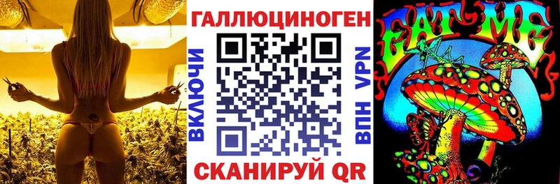 Псилоцибиновые грибы прущие грибы  Кохма 